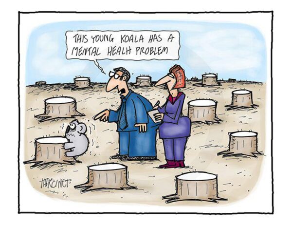 Illustration d’un koala agrippé à un tronc coupé, observé par deux personnages qui jugent son comportement sans considérer son contexte, le stress et santé sous l'angle du biais cognitif.